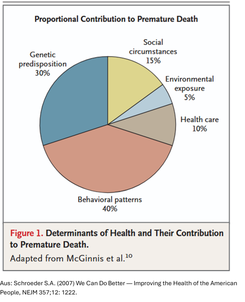 Einflussfaktoren auf die vorzeitige Sterblichkeit nach Schroeder.